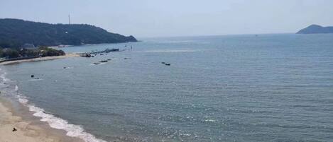 A beach with a sandy shore and calm water.