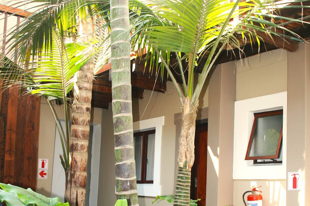 Un patio con palmeras, un banco de madera y un extintor de incendios en la pared.