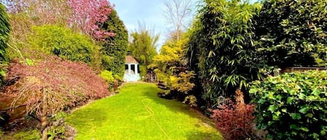 House | Property grounds