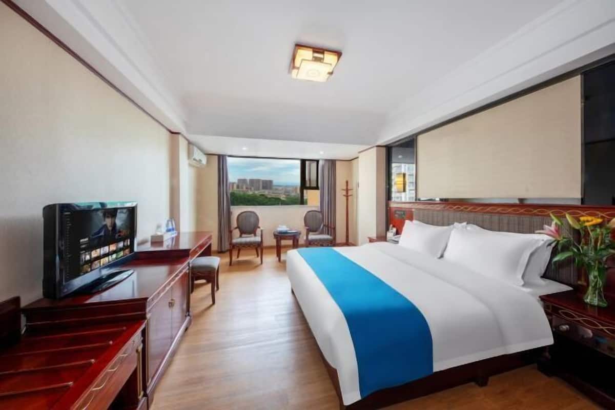 A hotel room with a large bed, a TV, a desk, and a view of the city.