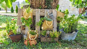 Un tronco de árbol con varias macetas y herramientas de jardinería.