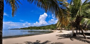 A beach with clear blue water, sandy shore, and palm trees.