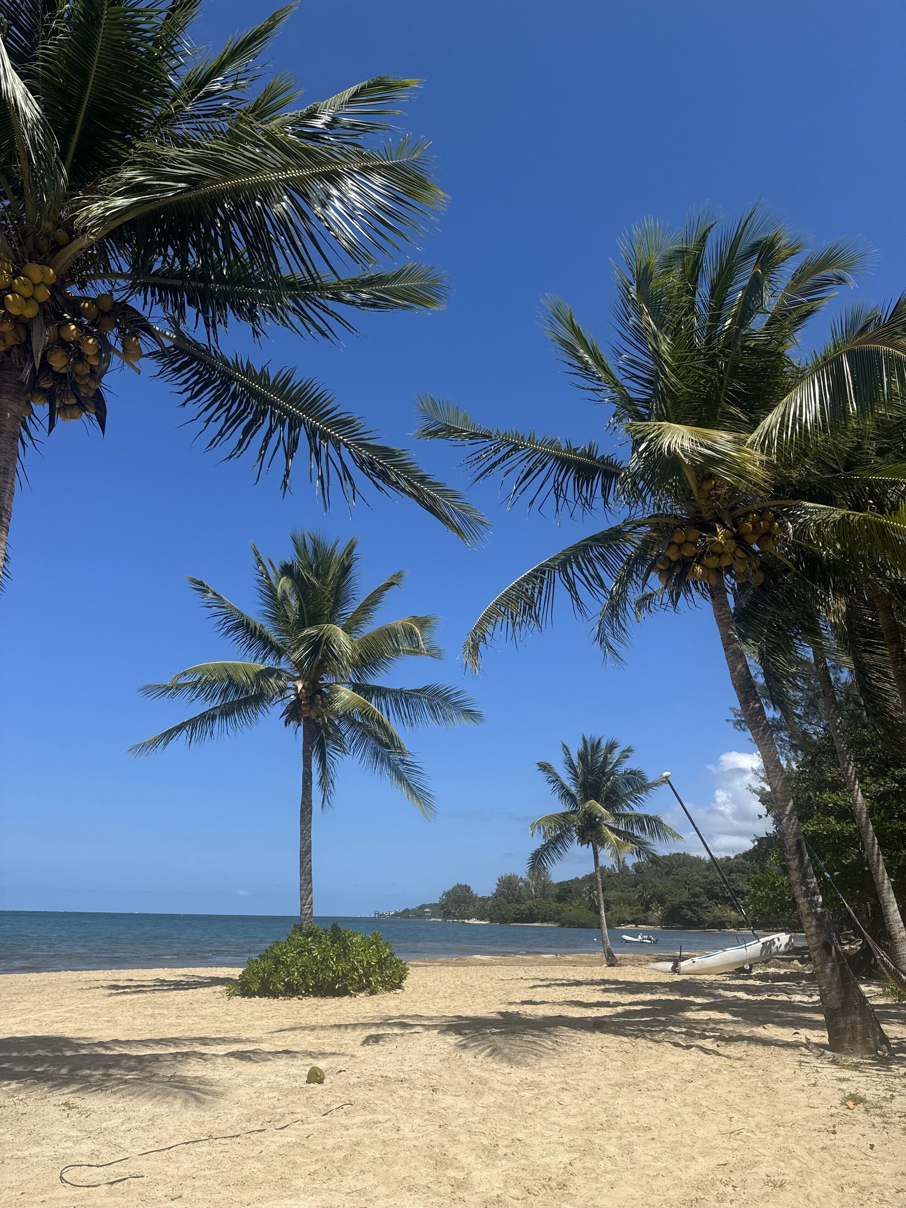 Strandtücher