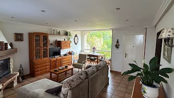 Smart TV, fireplace, video games, books