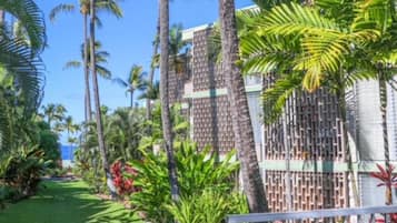 Apartment | 1 Schlafzimmer