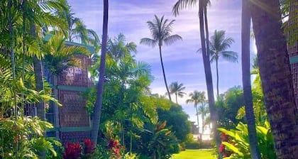 Enjoy the Sunset Ocean Front 1BR Apt-pool On-site