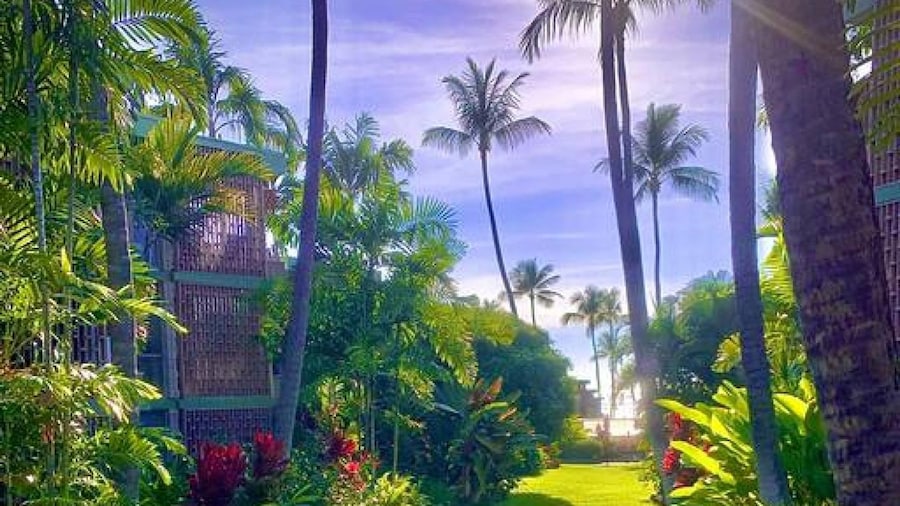 Enjoy the Sunset Ocean Front 1BR Apt-pool On-site