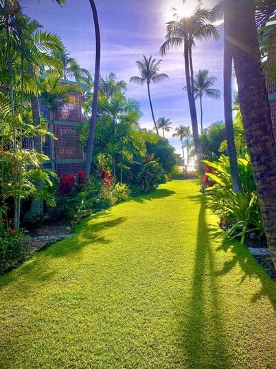 Enjoy the Sunset Ocean Front 1BR Apt-pool On-site