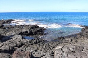 公寓 | 1 多间卧室