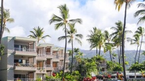 Un hotel de varios pisos con balcones, rodeado de palmeras y abundante vegetación.