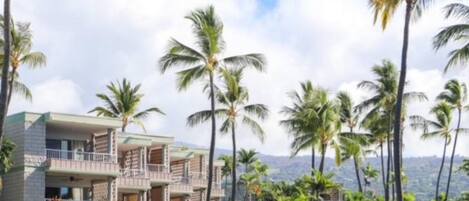 Een meerlaags hotel met balkons, omgeven door palmbomen en weelderige begroeiing.