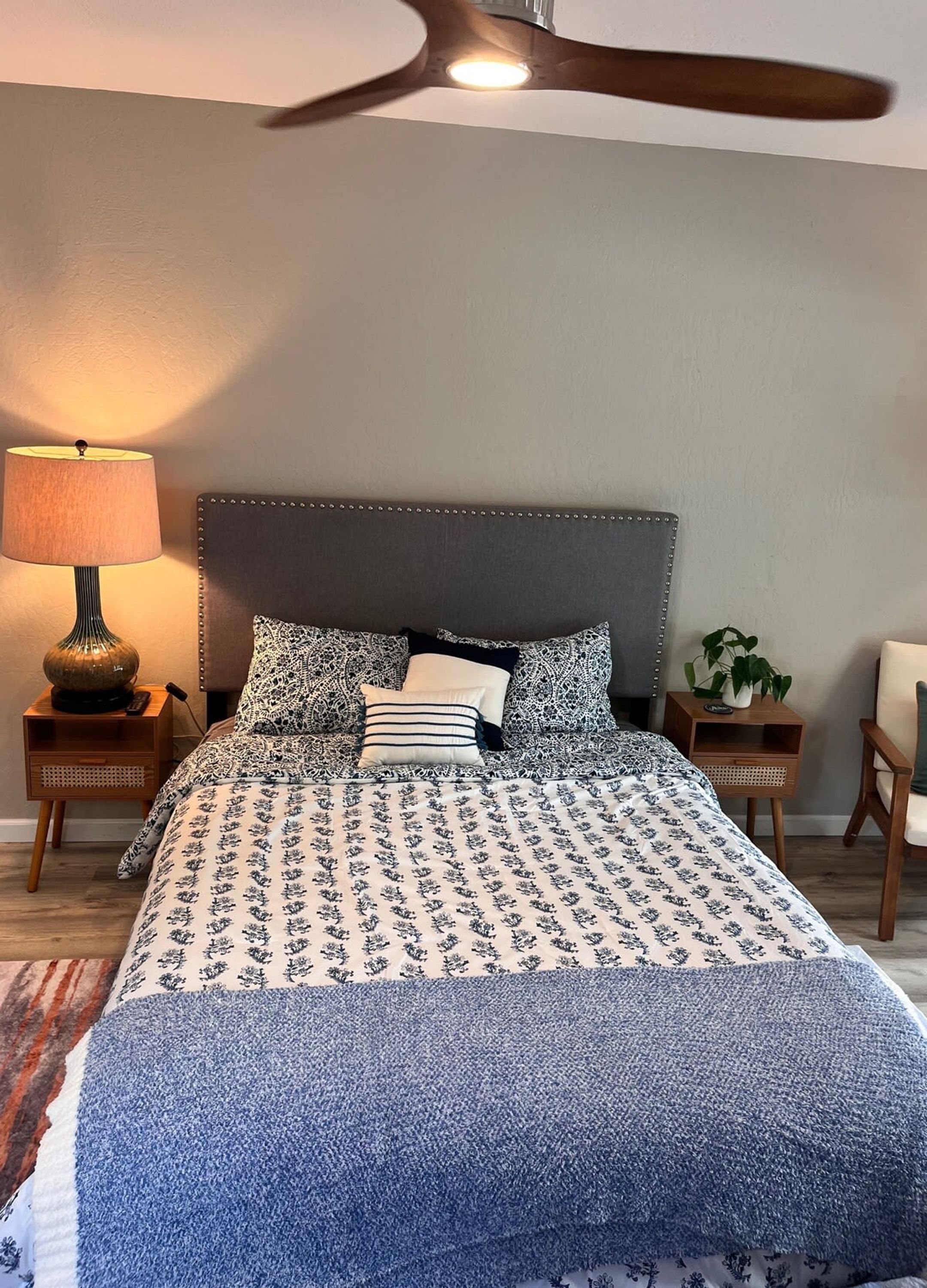 A bedroom with a bed, a lamp, a plant, and a ceiling fan.