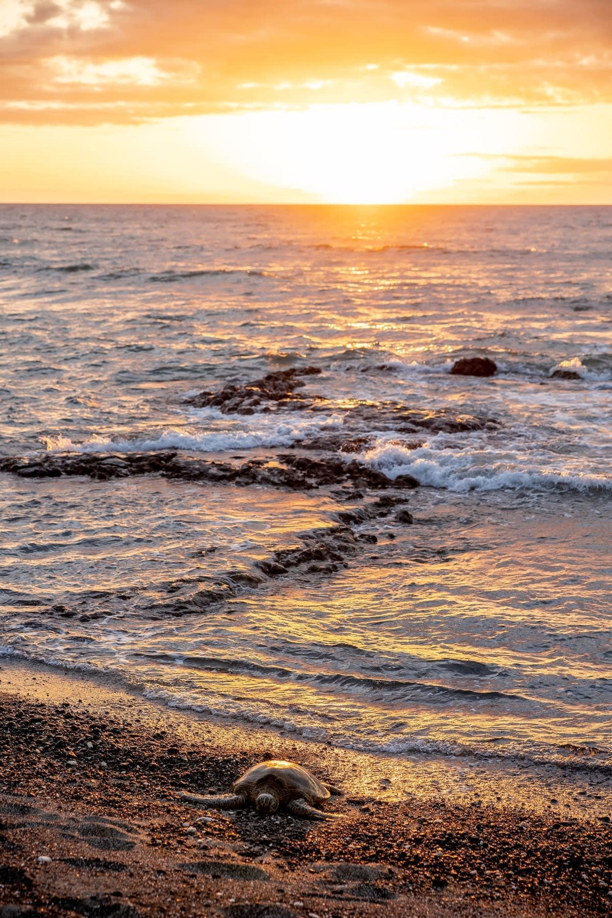 Une scène de plage avec des vagues au coucher du soleil.