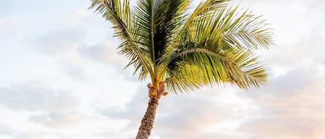 Talo | 1 makuuhuone, työpöytä