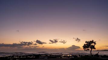 A beach scene with a tree silhouette against a sunset sky.