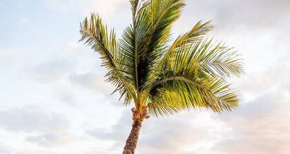 Island Elegance Prime Spot