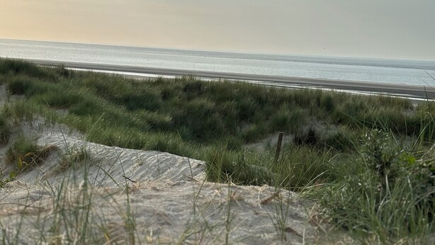 Une plage avec des dunes de sable et une vue dégagée sur l’océan.