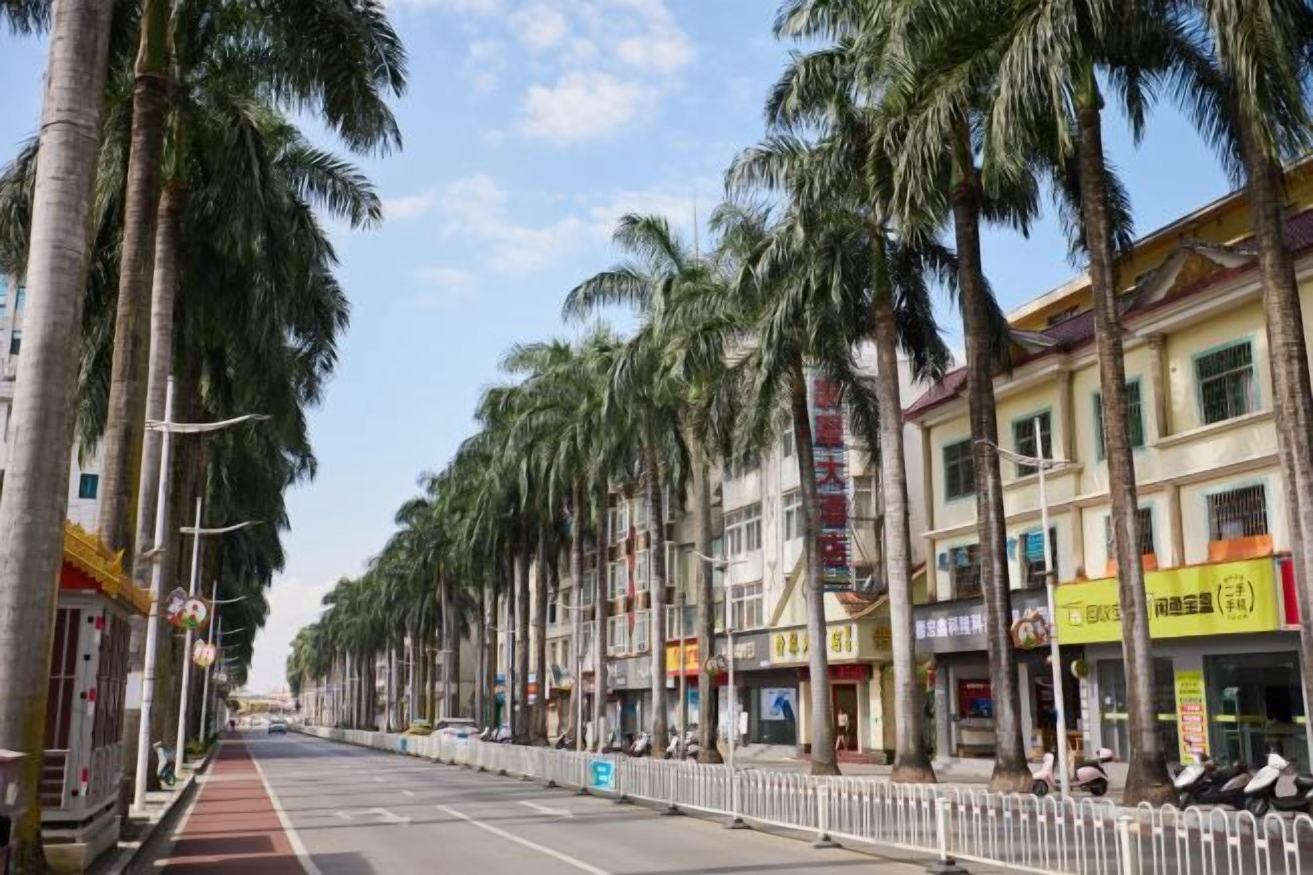 Une rue bordée de palmiers et ponctuée de bâtiments aux devantures de magasins variées.