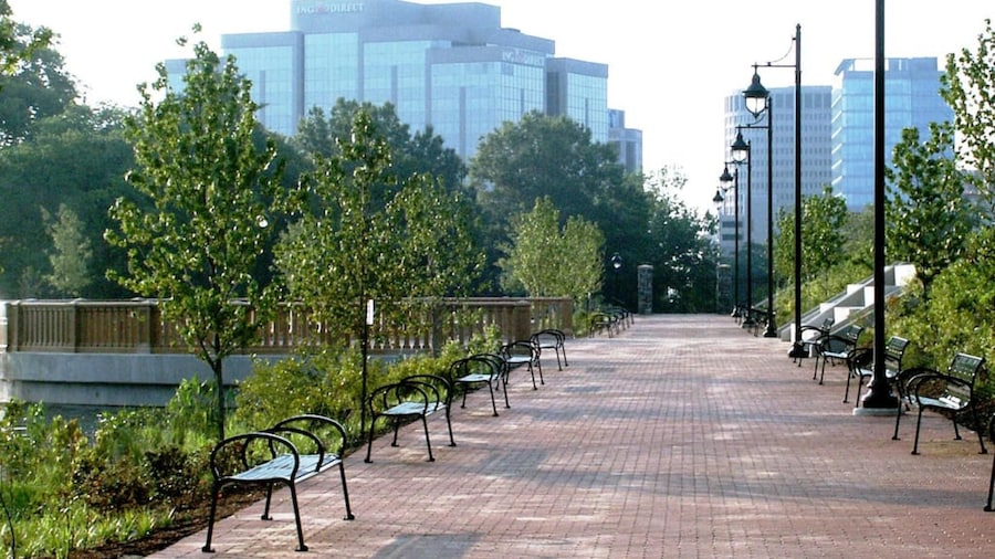 Redwood Loft at Park Place King bed Walk in Closet Fast Wifi and Free Coffee