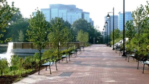 A paved walkway with benches, a water body, and trees. - Boardwalk- Large Modern Unit With King bed Fast Wifi Free Coffee and Easy Parking (Wilmington)
