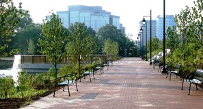 Apartment | 1 bedroom - Boardwalk- Large Modern Unit With King bed Fast Wifi Free Coffee and Easy Parking (Wilmington)