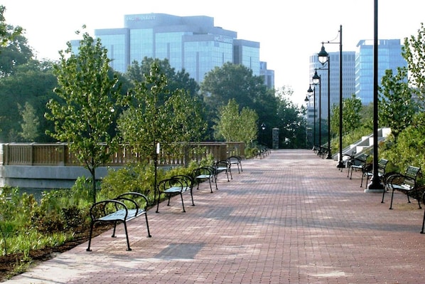 Apartment | 2 bedrooms - The Terrace at Park Place 2nd Floor Walk up -cozy 2 Bedroom Fast Wifi Free Coffee (Wilmington)