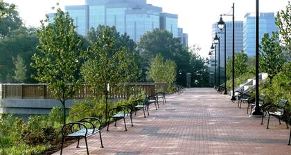 The Terrace at Park Place 2nd Floor Walk up -cozy 2 Bedroom Fast Wifi Free Coffee