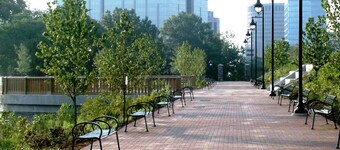 Park Place- Cozy Modern Space Fully Updated Fast Wifi Good Coffee and Easy Parking