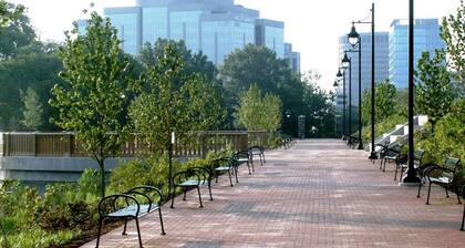 The Grayson at Park Place- Cozy and Fully Updated With King bed Free Coffee and Fast Wifi