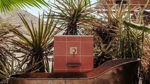 Planter metàl·lic amb un panell vermell i una nansa central, envoltat de diverses plantes i palmeres.