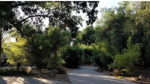 A paved pathway surrounded by dense greenery and trees. - Very Private Guest House for 6 on Private 3.25 acre Estate behind 2 secure gates (Simi Valley)