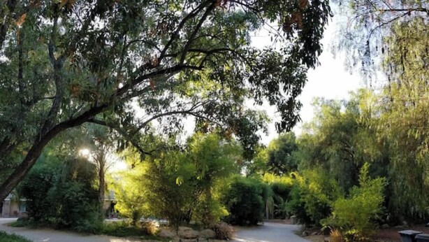 A paved driveway surrounded by dense greenery and trees. - Very Private Guest House for 6 on Private 3.25 acre Estate behind 2 secure gates (Simi Valley)