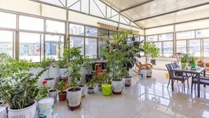 A spacious indoor area with large windows, potted plants, and a dining area.