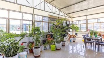 A spacious indoor area with large windows, potted plants, and a dining table.