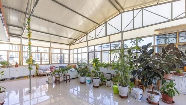 A spacious room with large windows, potted plants, and a high ceiling.