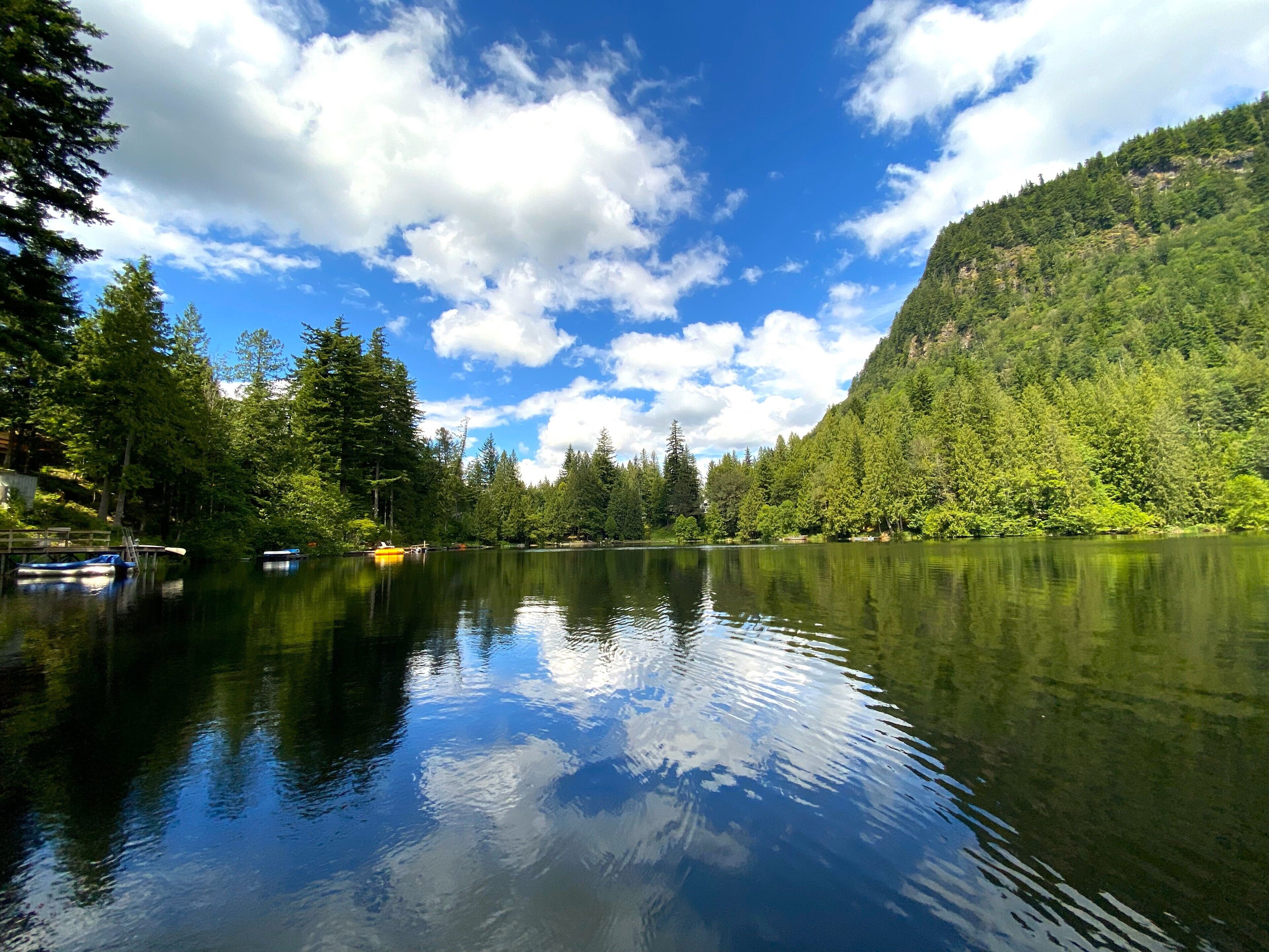 Cozy cabin on the lake, close to Mount Rainier, skiing, hiking, downtown! 