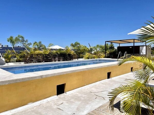 A swimming pool with a concrete edge, surrounded by palm trees and a clear blue sky.