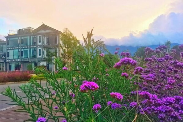 Garden - Dali Liwan Seaview Inn (Dali)