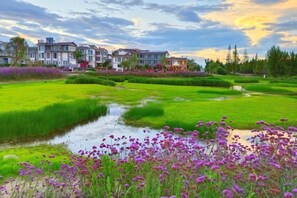A residential area with a green field, a small stream, and houses in the background.