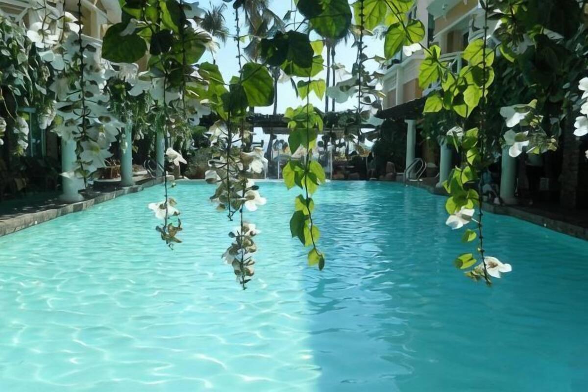 Una piscina amb plantes penjants i una superfície d'aigua blau clar.