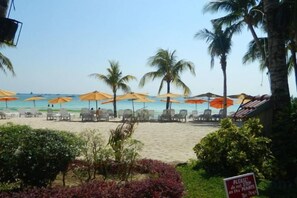 Une plage bordée de rangées de chaises longues et de parasols, avec des palmiers, et un panneau au premier plan.