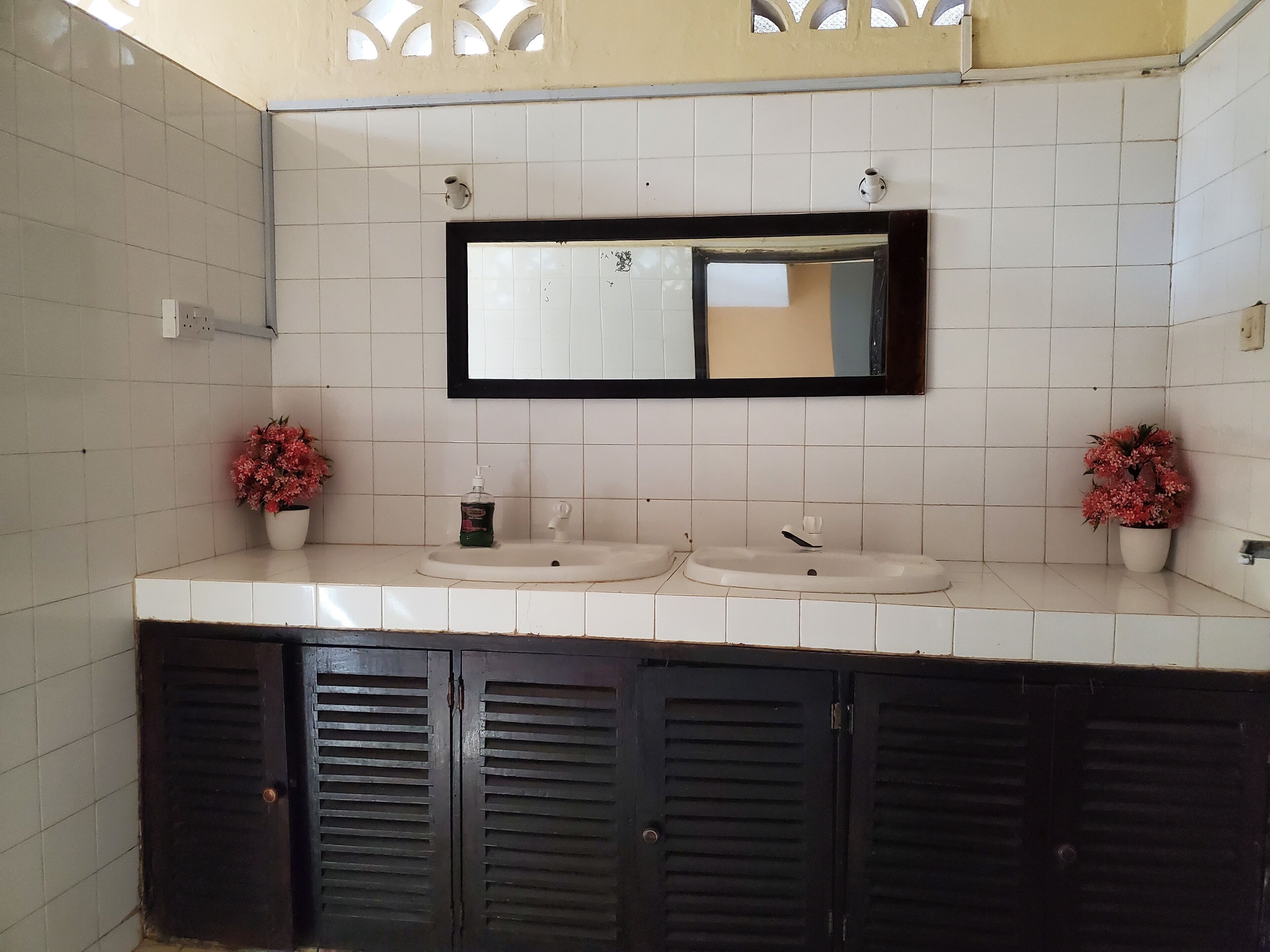 Ein Badezimmer mit zwei Waschbecken, einem Spiegel und einer Topfpflanze.