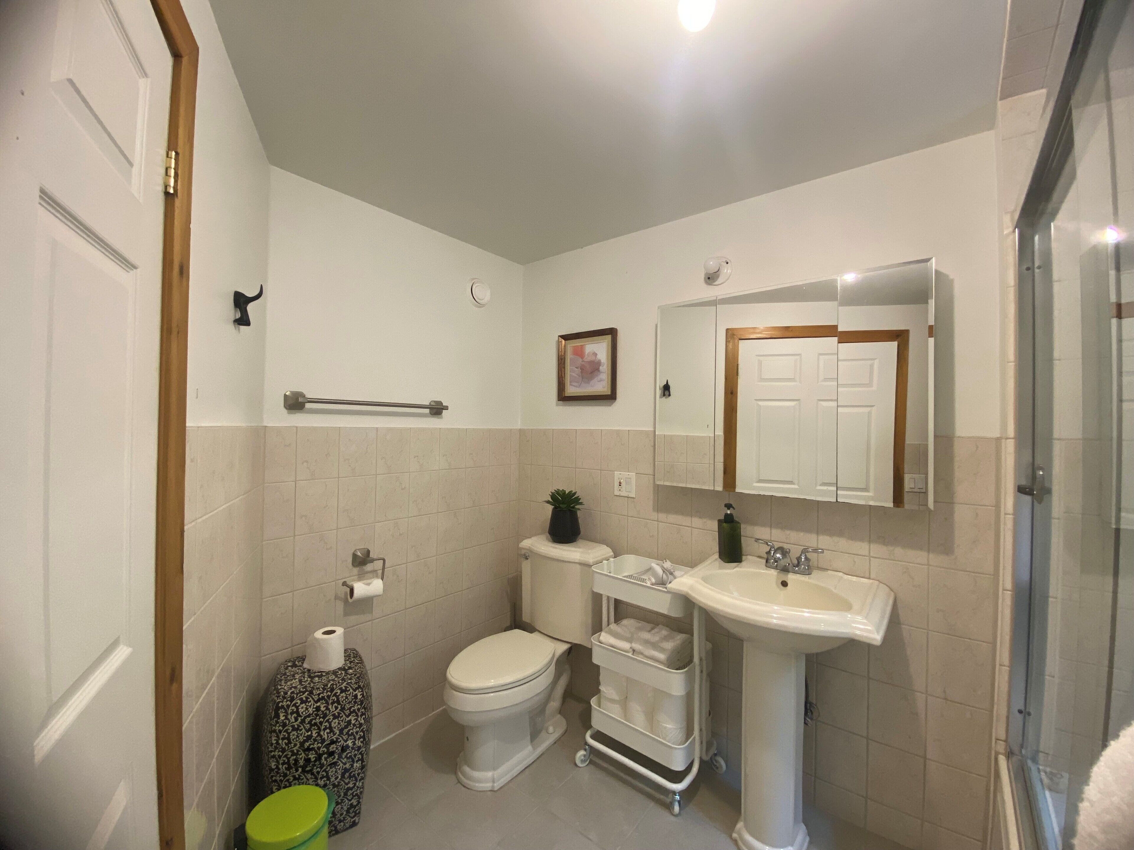 Jetted tub, hair dryer, towels, soap