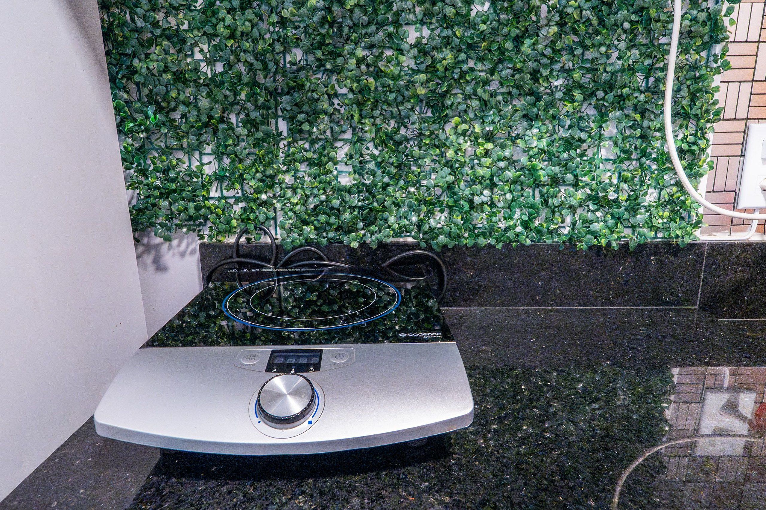 A kitchen with a gas stove, a digital control panel, and a wall covered with green foliage.