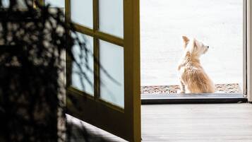 A dog sitting by a door with a grid pattern, looking outside.