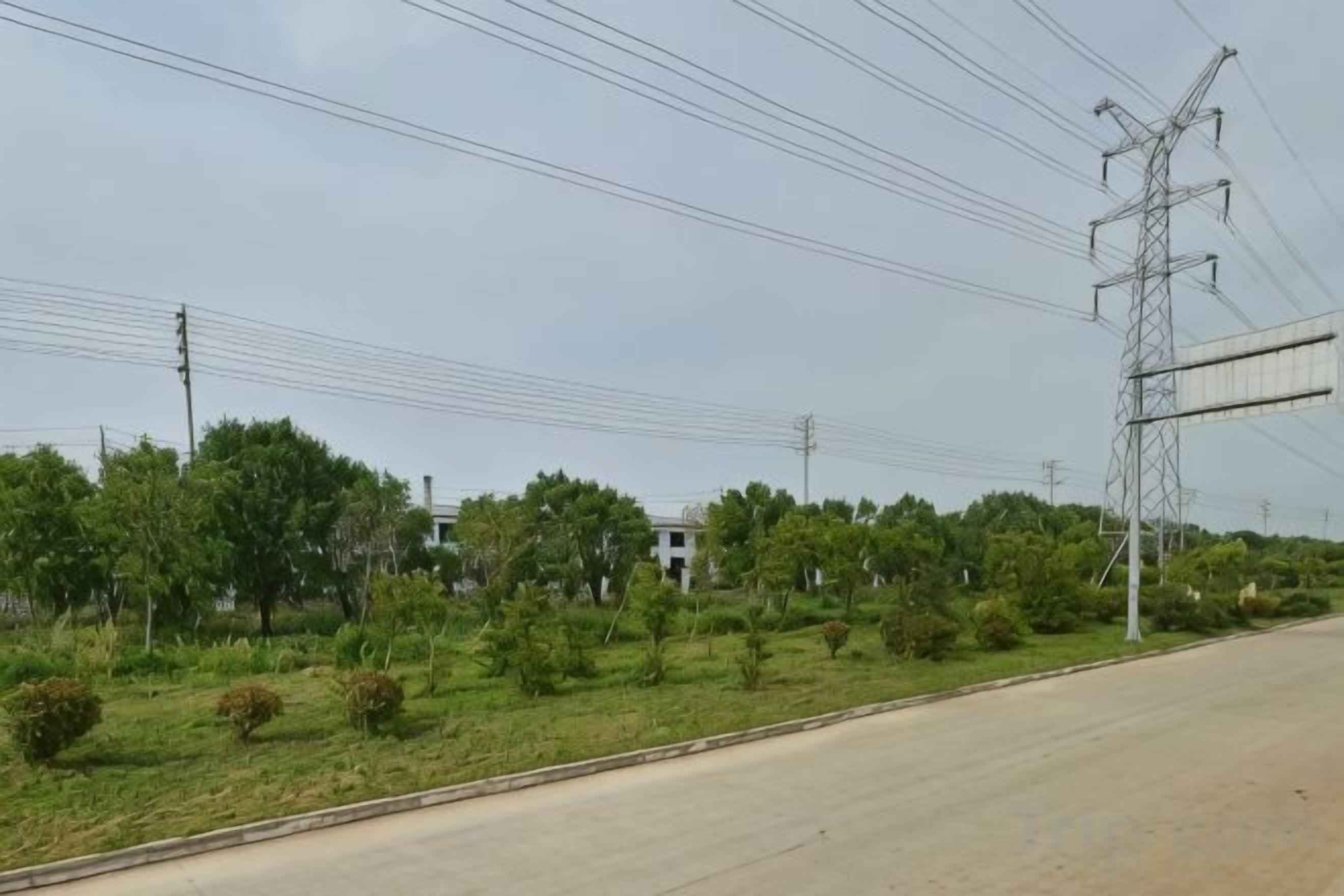 A road with a grassy area and trees on one side, and a utility pole with power lines on the other.