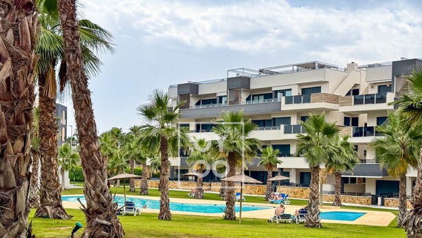 Un hotel moderno con area piscina, circondato da palme e un prato curato.
