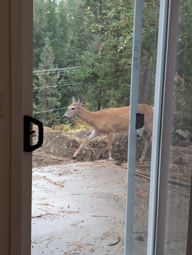 "Barndo" located close to Coeur D' Alene yet set in a wooded atmosphere.