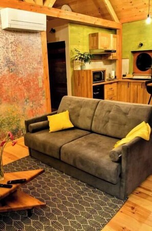 Smart TV, books, video library
