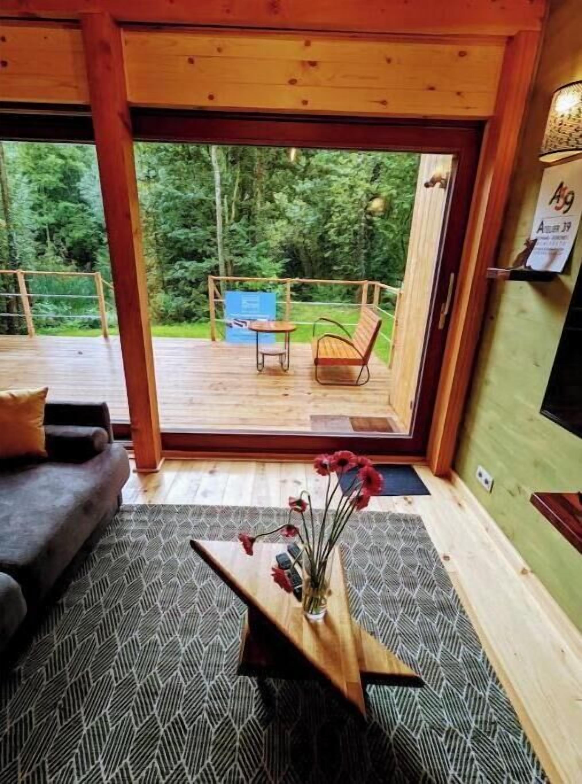 Smart TV, books, video library